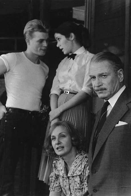 Come Back, Little Sheba